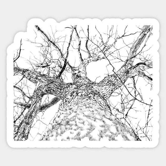 Tree Sticker by WendiStrangFrost